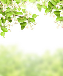 Similar image 6101155