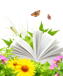 Similar image 6101157