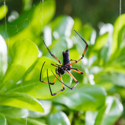 Similar image 6101375