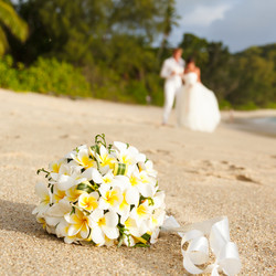 Similar image 6101379