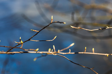 Similar image 6101489