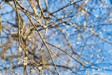 Similar image 6101490