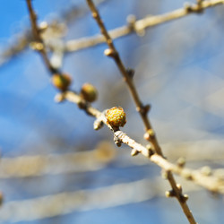 Similar image 6101502