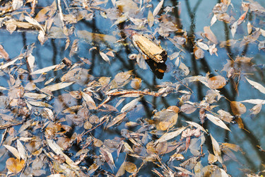 Similar image 6101503