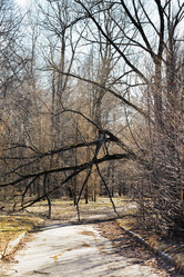 Similar image 6101510