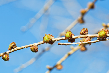 Similar image 6101515