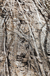 Similar image 6101518