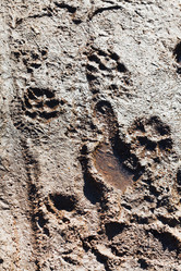 Similar image 6101519