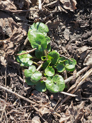 Similar image 6101536