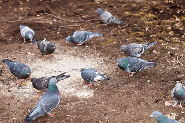 Similar image 6101553