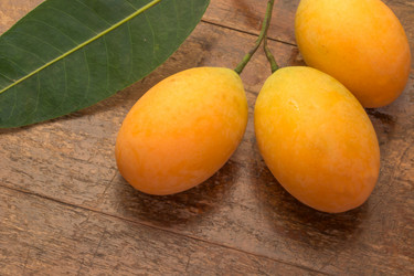 Similar image 6101644