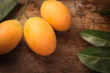 Similar image 6101646