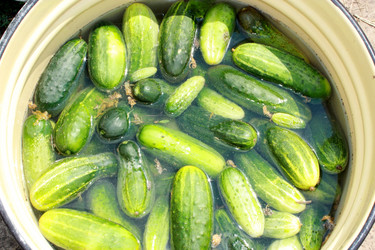 Similar image 6101832