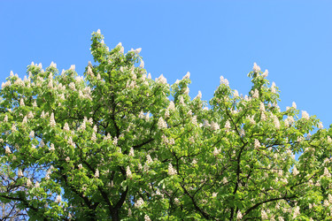 Similar image 6101837