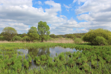 Similar image 6101858