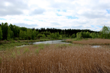 Similar image 6101860