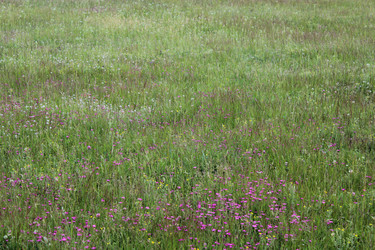 Similar image 6101866