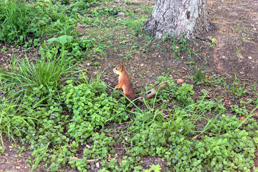 Similar image 6101894