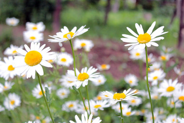 Similar image 6101898