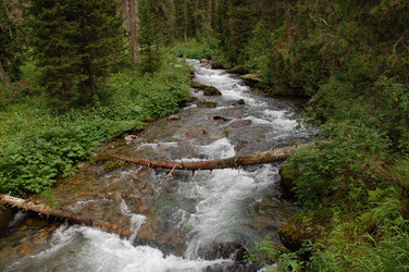 Similar image 6101952