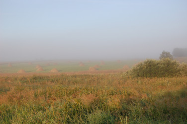 Similar image 6101954