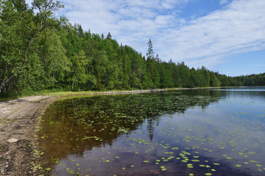 Similar image 6101956