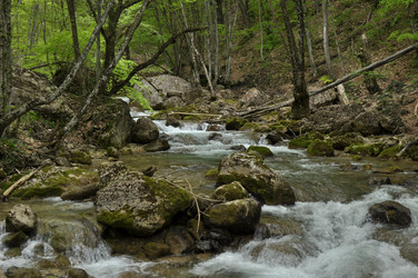 Similar image 6101968