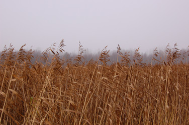 Similar image 6101970