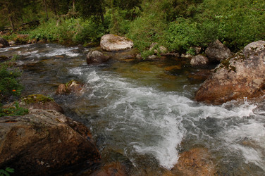 Similar image 6101973