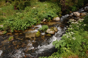 Similar image 6101976