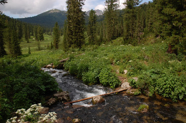 Similar image 6101977