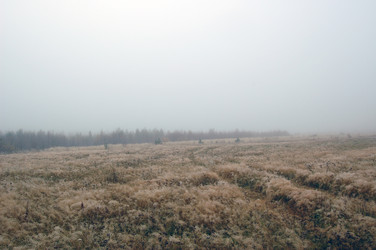 Similar image 6101978