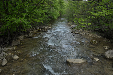 Similar image 6101980