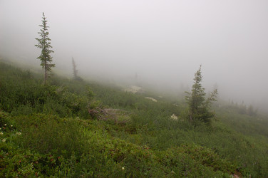 Similar image 6101988