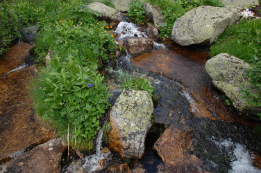 Similar image 6102000