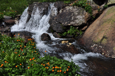 Similar image 6102057