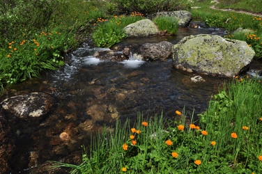 Similar image 6102058