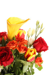 Similar image 6102363