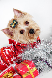 Similar image 6102366