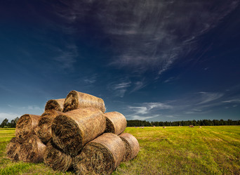 Similar image 6102378