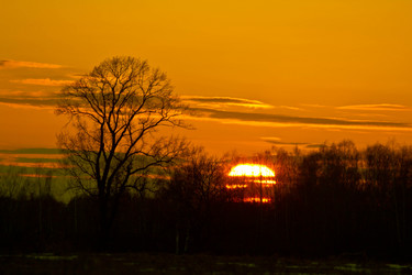 Similar image 6102381