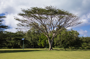 Similar image 6102418