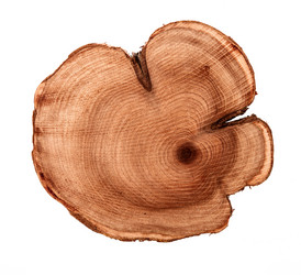 Similar image 6102423