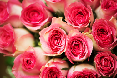 Similar image 6102702