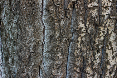 Similar image 6102896