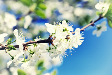 Similar image 6102999