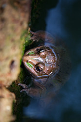 Similar image 6103009