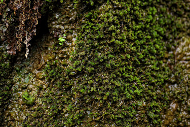 Similar image 6103016