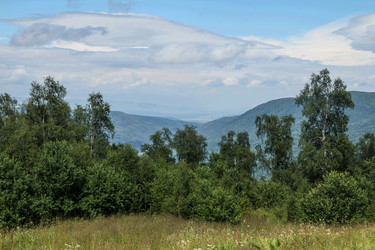 Similar image 6103058