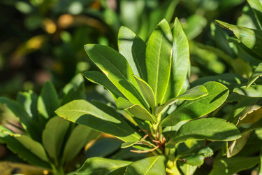 Similar image 6103063